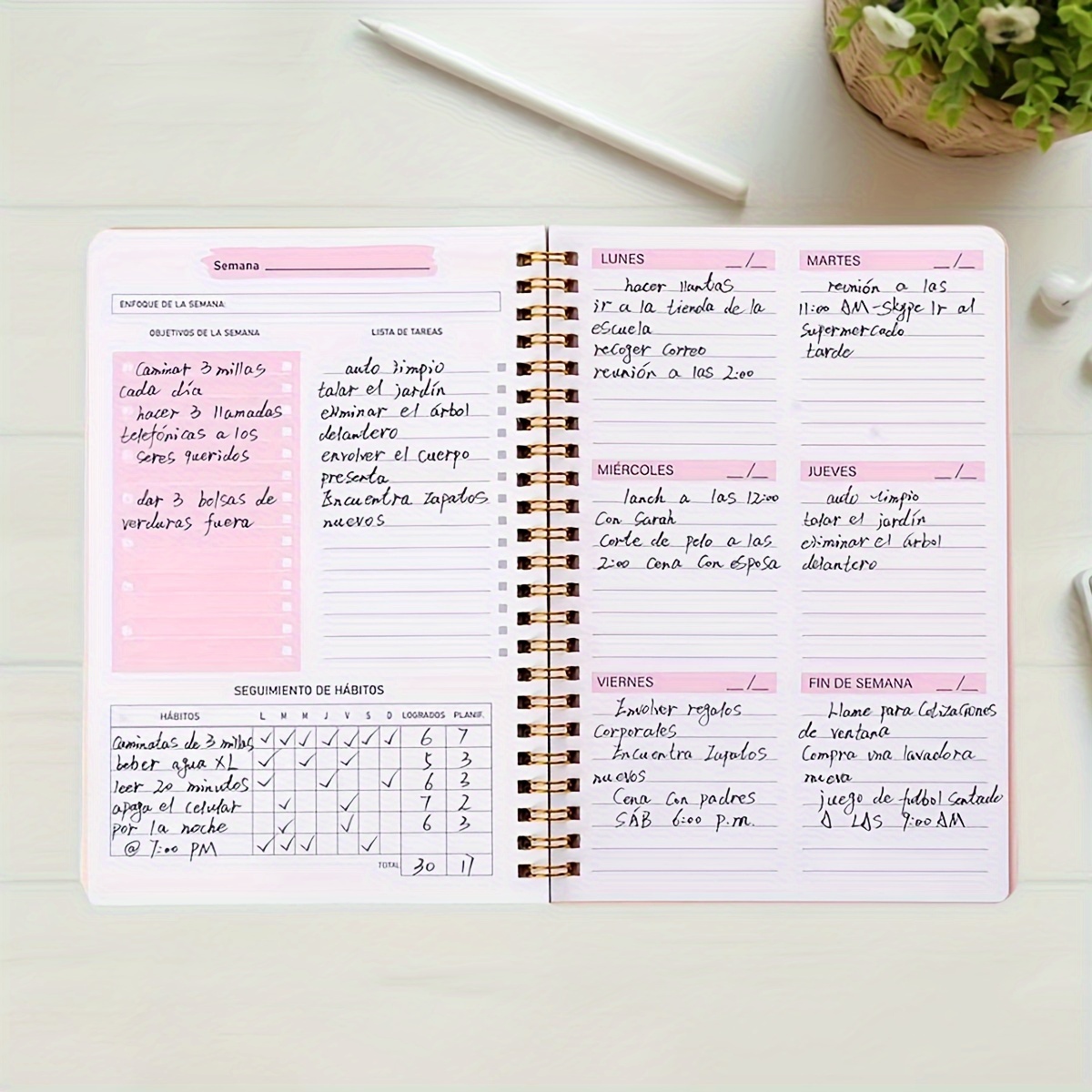 52-Wochen-Englisch-Wochenplane – Planned Parenthood Bewertung und Preis
